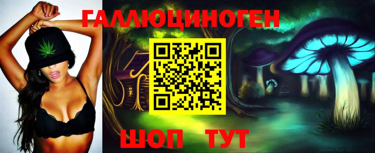 Великий Новгород  Галлюциногенные грибы Psilocybe  Вход с VPN  Псилоцибиновые грибы мухоморы 